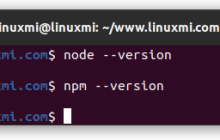 Linux中的Node.js和npm：JavaScript开发者的必备工具