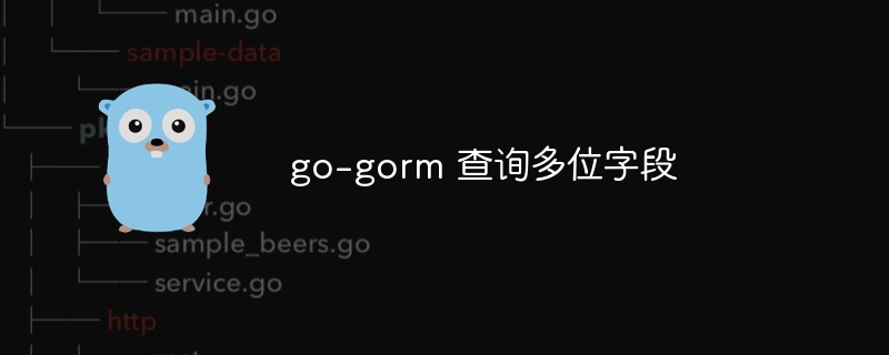 go-gorm 查询多位字段
