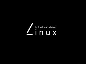 Linux에서 효율적인 데이터 교환을 위해 ALDE 파일을 사용하는 방법