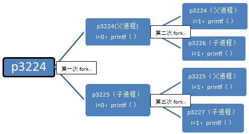 Linux系统中的多进程编程：fork()函数详解