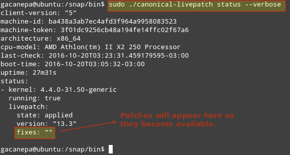 Livepatch —— 免重启给 Ubuntu Linux 内核打关键性安全补丁