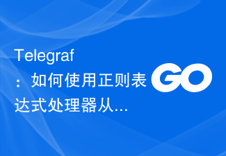 Telegraf: 정규식 프로세서를 사용하여 필드에서 추출하는 방법은 무엇입니까?