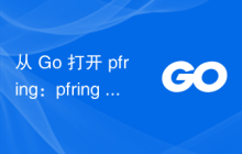 从 Go 打开 pfring：pfring NewRing 错误：没有这样的设备