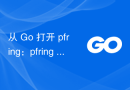 从 Go 打开 pfring：pfring NewRing 错误：没有这样的设备