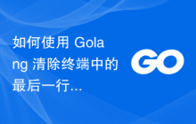 如何使用 Golang 清除终端中的最后一行