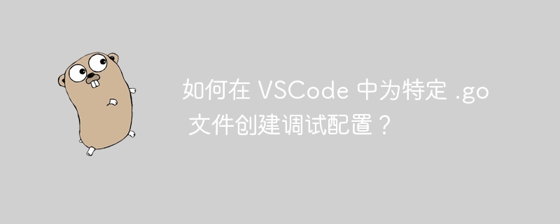 如何在 VSCode 中为特定 .go 文件创建调试配置？