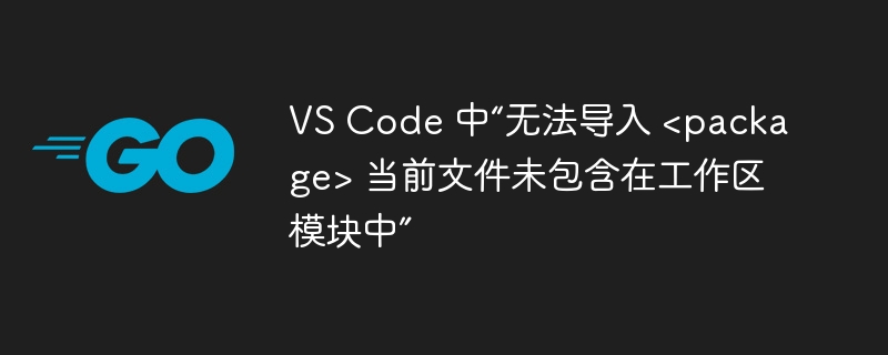 vs code 中“无法导入 <package> 当前文件未包含在工作区模块中”