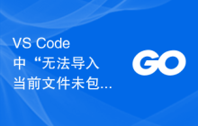 VS Code 中“无法导入 <package> 当前文件未包含在工作区模块中”