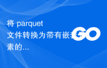 将 parquet 文件转换为带有嵌套元素的 Golang 结构