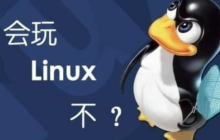 linux下vim的使用以及高效率的技巧