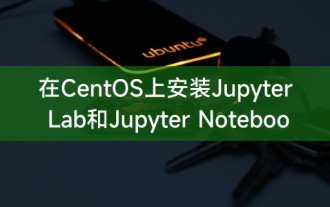 在CentOS上安装Jupyter Lab和Jupyter Notebook的详细指南