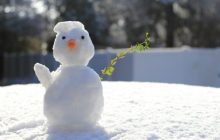 适合问候客户的句子(平安夜祝福语短句给客户)