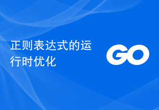 正規表示式的運行時最佳化