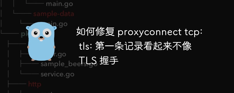 如何修复 proxyconnect tcp: tls: 第一条记录看起来不像 tls 握手