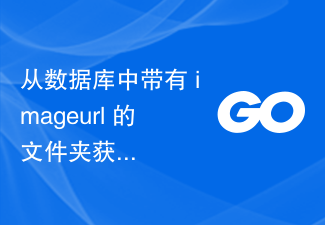 从数据库中带有 imageurl 的文件夹获取图像，并在我的浏览器中使用 golang 中的 echo 显示该图像