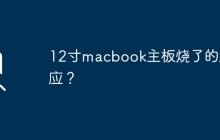 12寸macbook主板烧了的反应？