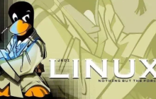 Linux内存中的Cache真的能被回收么?