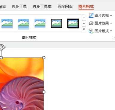 PPT2021怎么给图片添加密紧映像效果 操作方法