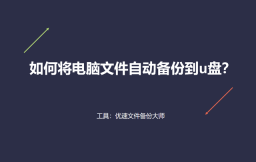 u盘自动备份指写文件格式