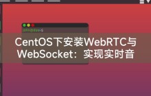 CentOS下安装WebRTC与WebSocket:实现实时音视频通信