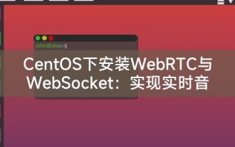 Memasang WebRTC dan WebSocket di bawah CentOS: Komunikasi audio dan video masa nyata