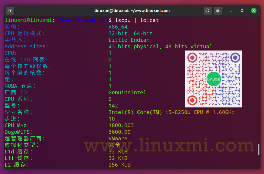 提高生产力的 10 个 Linux 命令