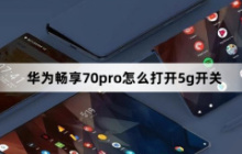 华为畅享70pro怎么打开5g开关？