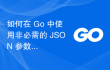 如何在 Go 中使用非必需的 JSON 参数？