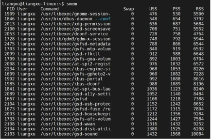 Linux内存管理神器：smem工具