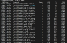 Linux内存管理神器:smem工具