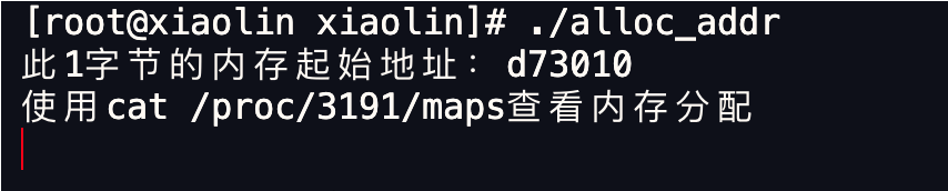 一文读懂 Linux 内存分配策略