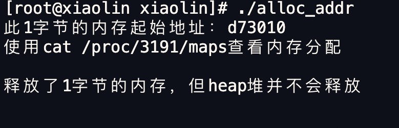 一文读懂 Linux 内存分配策略