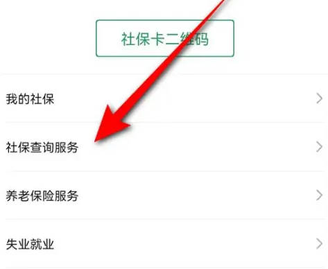 How to check your social security payment details on WeChat