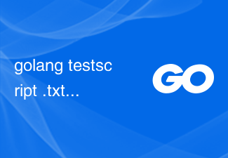 golang testscript .txtar 語法，用於 stderr 或 stdout 中包含的文本