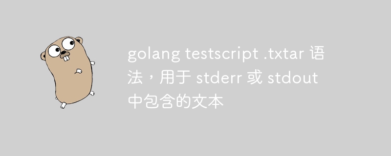 golang testscript .txtar 语法，用于 stderr 或 stdout 中包含的文本