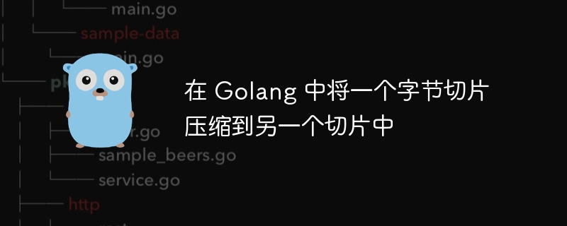 在 Golang 中将一个字节切片压缩到另一个切片中