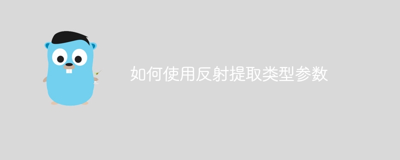 리플렉션을 사용하여 유형 매개변수를 추출하는 방법