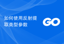 如何使用反射提取类型参数