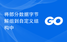 将部分数据字节解组到自定义结构中