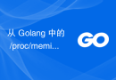 从 Golang 中的 /proc/meminfo 中提取内存和交换信息
