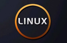 如何在Linux中安全的删除文件和目录