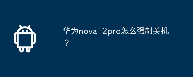 Huawei nova12pro를 강제 종료하는 방법은 무엇입니까?