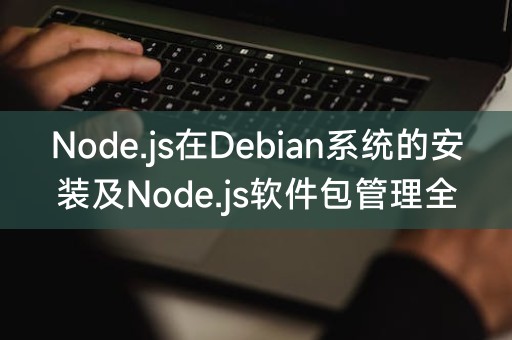 Eine vollständige Anleitung zur Installation von Node.js im Debian-System und zur Verwaltung von Node.js-Softwarepaketen