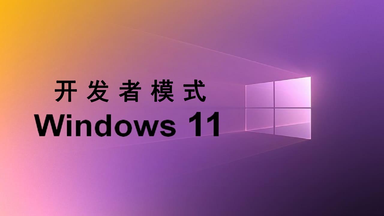 How to turn on developer mode in win11 startup method tutorial-Computer ...