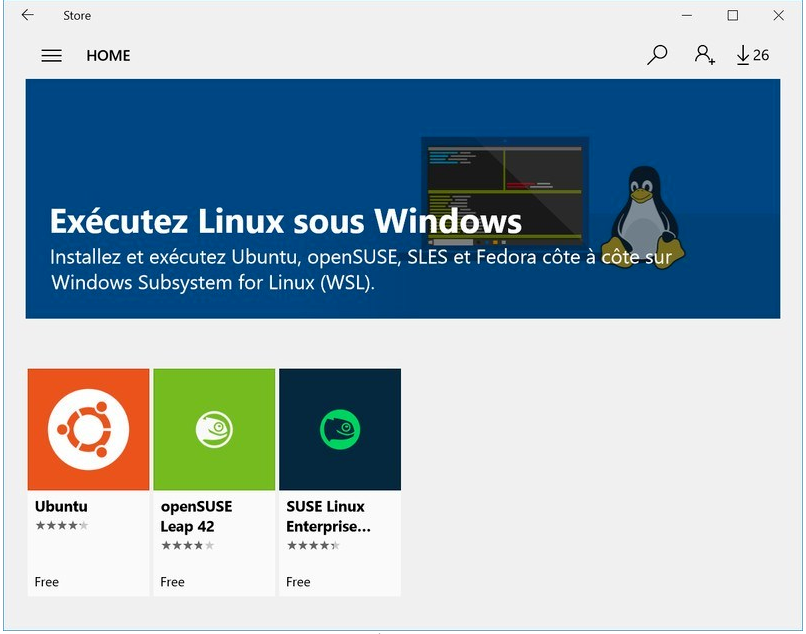 Ein Linux-Befehlsartefakt, das auf Windows-Cmder ausgeführt wird