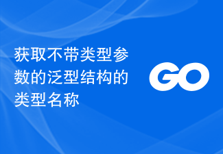 获取不带类型参数的泛型结构的类型名称