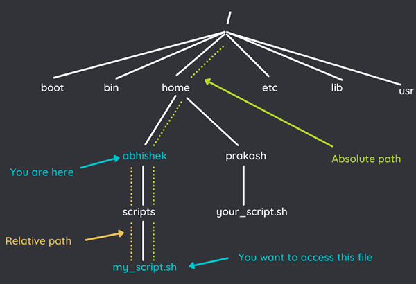 The most basic knowledge: absolute paths and relative paths in Linux