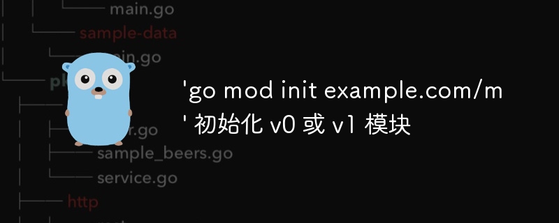 'go mod init example.com/m' 初始化 v0 或 v1 模块