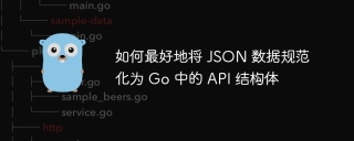 如何最好地将 JSON 数据规范化为 Go 中的 API 结构体