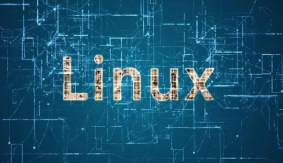 了解 Linux 文件权限，简单明了